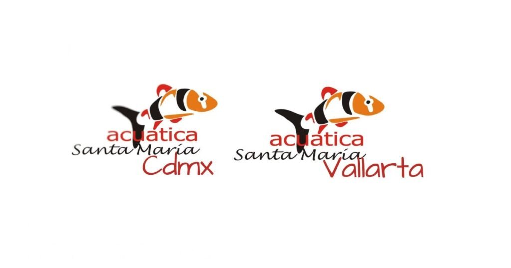 Sala de Prensa después de la tormenta… volvemos al agua más fuertes