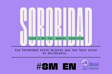 service-1 hospital veterinario